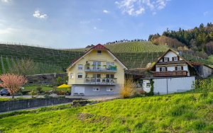 Ferienhof Mayer in Lautenbach bei Oberkirch